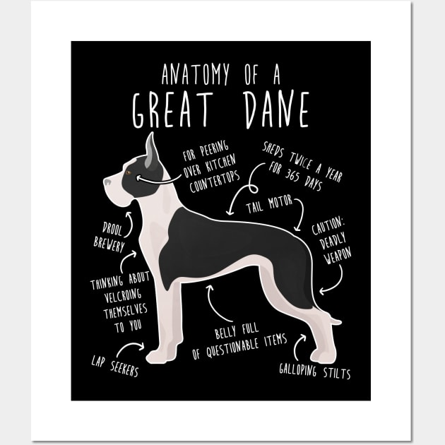 Cropped Mantle Great Dane Dog Anatomy Wall Art by Psitta